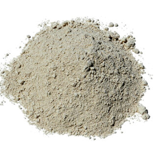 Diatomaceous Earth